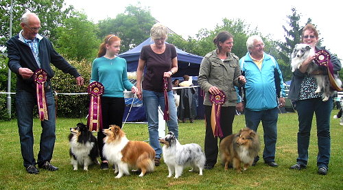 SSCD Jahressieger 2011