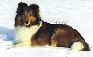 Dt. VCh. Deborah von der Sch�nebecker Schweiz